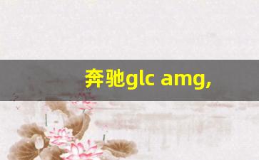 奔驰glc amg,amg所有车型价目表